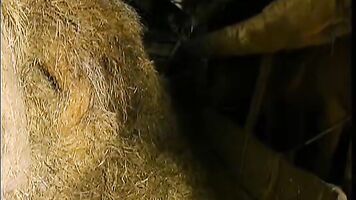 Incest sex between an old man and his niece is an incredibly hot amateur experience!